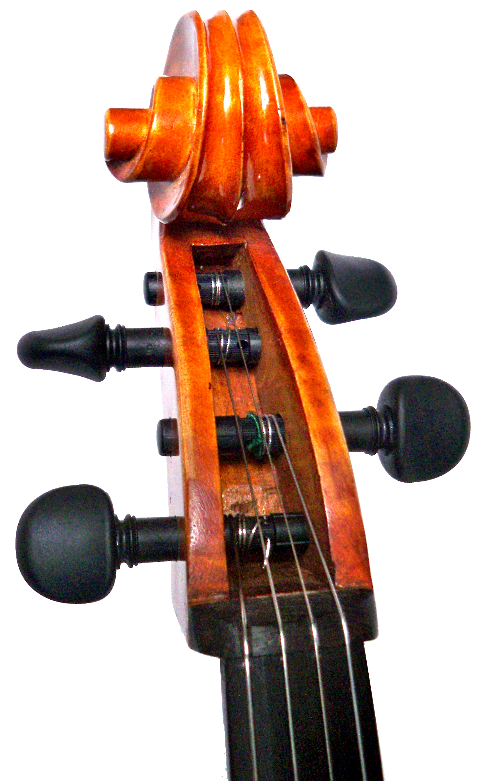 Wittner finetune pegs discount