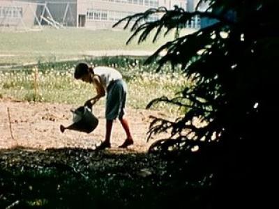 1959_garden.jpg